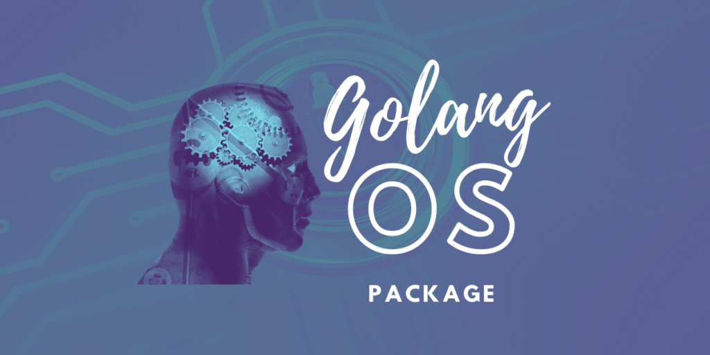 Golang Os Package